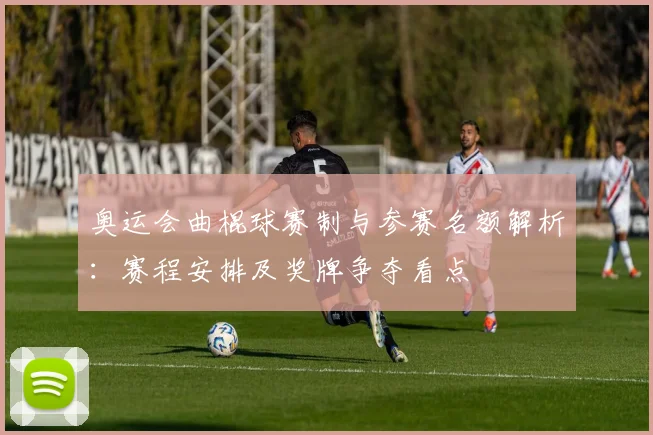 奥运会曲棍球赛制与参赛名额解析：赛程安排及奖牌争夺看点