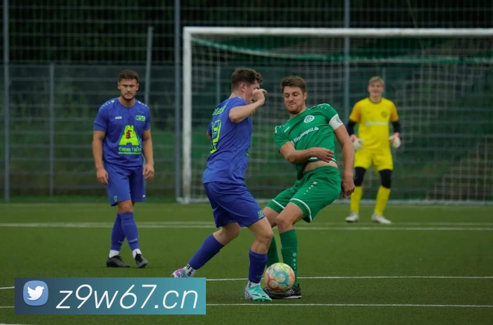 乐竞官方网站平台生态图